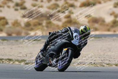 media/Apr-10-2022-SoCal Trackdays (Sun) [[f104b12566]]/Turn 5 Tree of Life (1040am)/